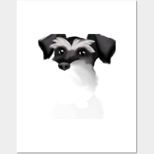 Cute Miniature Schnauzer Drawing Posters and Art